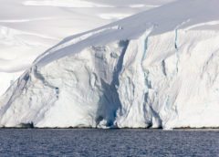 Openings in Antarctic Sea Ice