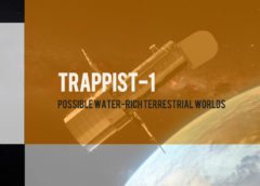 TRAPPIST-1: Possible Water-Rich Terrestrial Worlds