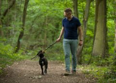 How to Protect Your Dog from Lyme disease