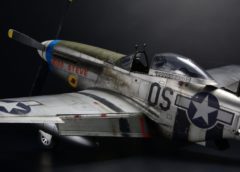 P-51 D-5 Mustang Eduard 1/48 – Miss Steve – Aircraft Model