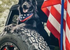 Jeep® Brand Announces #JeepTopCanine Winner, Bear, on National Dog Day