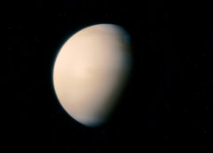 Is there Life in the Clouds of Venus?