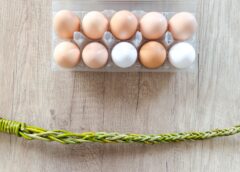 COVID Baking Boom Boosts Demand on Egg Cartons