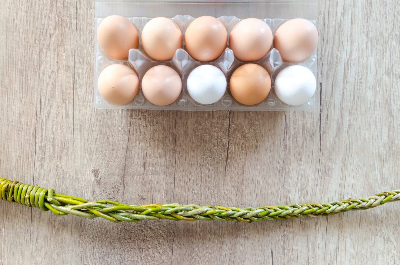 egg cartons