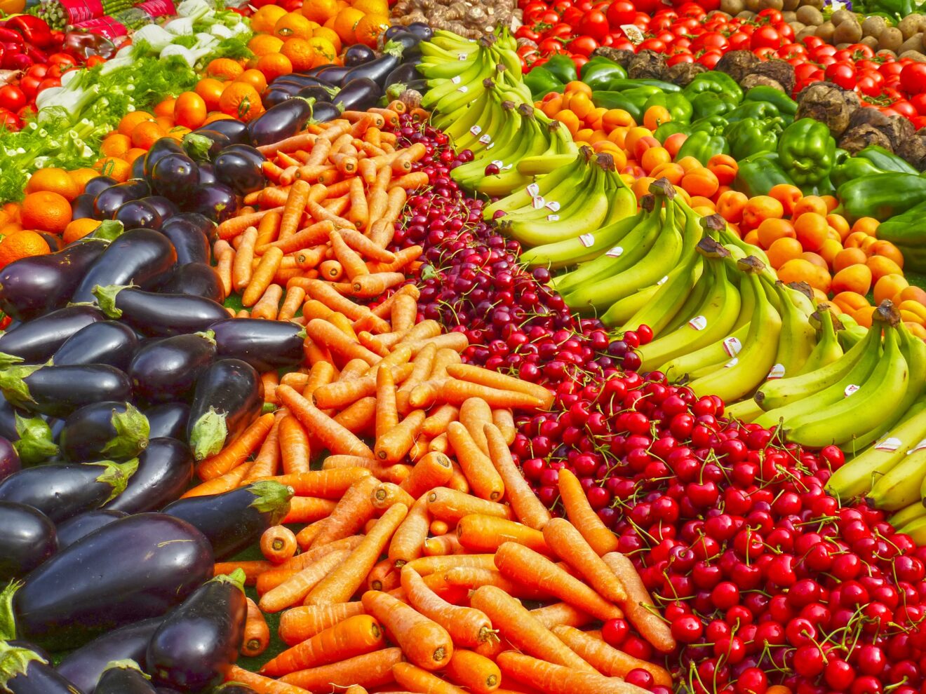 Food Safety