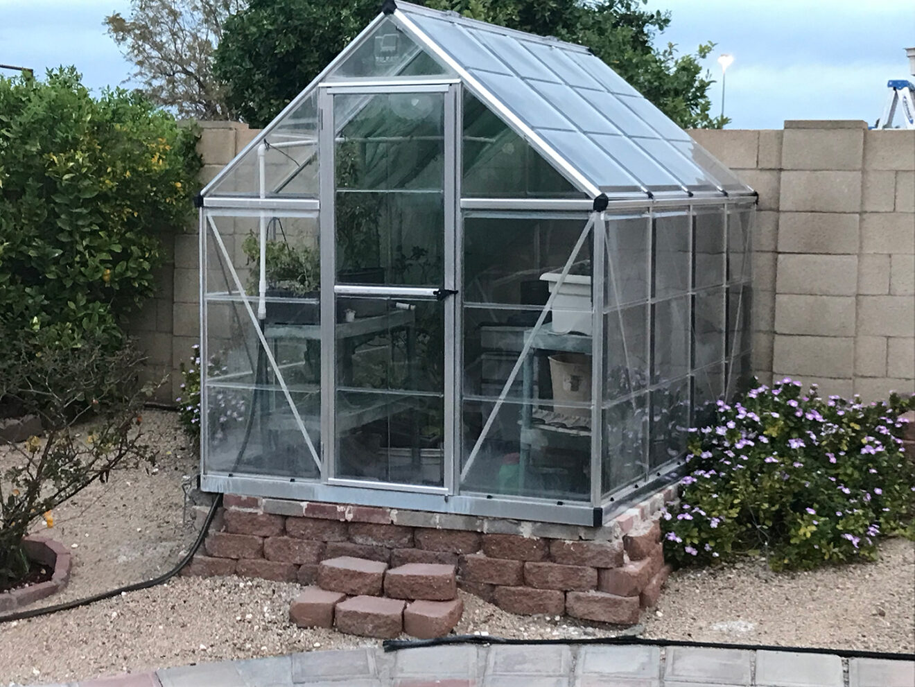 Greenhouse
