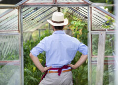 Greenhouse Growing Requires a Dehumidification Solution