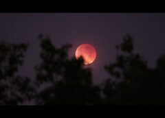 Total Eclipse of the Supermoon on May 26 (video)