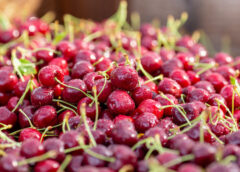 Make this Summer the Sweetest One Yet with Northwest-Grown Sweet Cherries