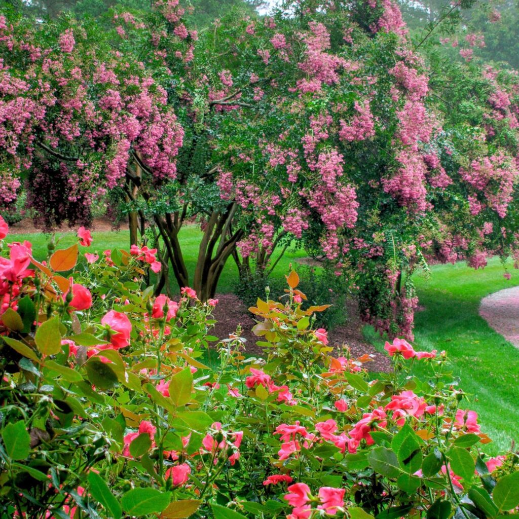 nature's magical place