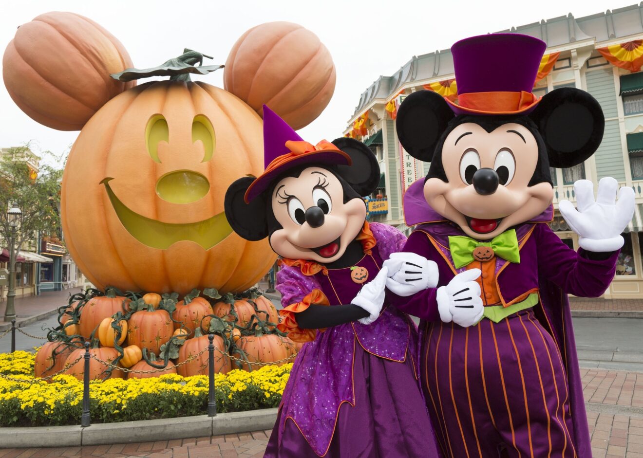 Disneyland Resorts