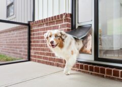 PetSafe® Expanding Line of Pet Doors With Extreme Weather Sliding Glass Pet Door™