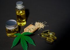 Is CBD Oil Really Effective? Studies Would Suggest So