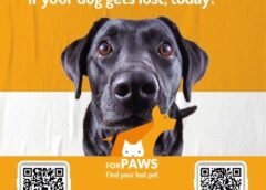 Introducing ForPaws – An AI-driven Lost & Found service for Pets by Mars Petcare