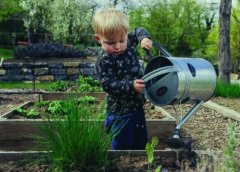 5 Tips for Gardening with Kids