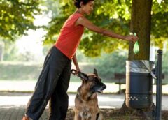 3 Ways to Live a More Sustainable Life with Your Pet