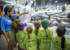 SEAWORLD AND BUSCH GARDENS OFFER FUN-FILLED HOLIDAY KIDS CAMPS IN DECEMBER ACROSS ALL FIVE PARK LOCATIONS