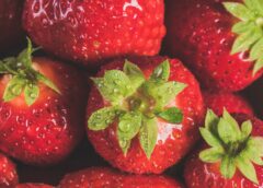 Click Medical® Celebrates ROMP Award with Release of Lupe and the Strawberries
