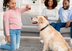 4 Ways to Live a Healthy Lifestyle with Your Pet