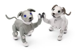 Sony Electronics Launches Limited aibo Black Sesame Edition Litter and New Accessories in U.S.