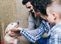 4 Tips to Make Adopting a Dog a Paws-itive Experience