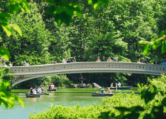 The 25 Happiest U.S. City Park Systems, Ranked by Scientists