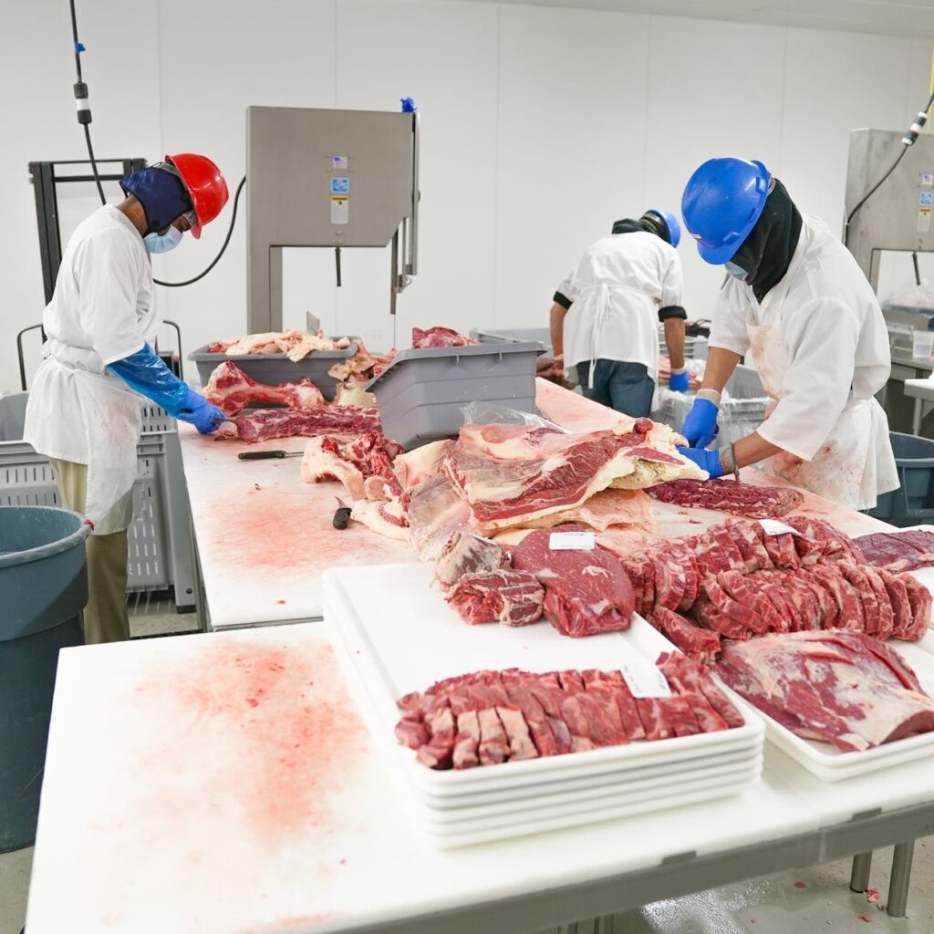 inside the meat products production line