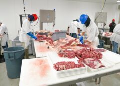 inside the meat products production line