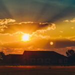 sunset