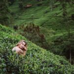 naked woman sitting in tee plantation
