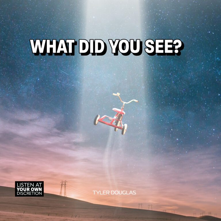 What Did You See?